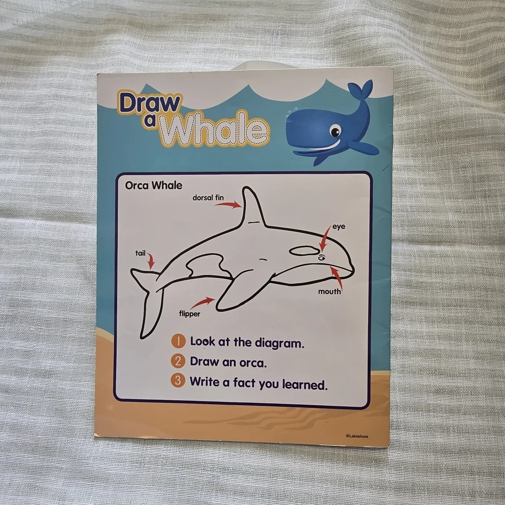 Whales Kids Activity Book - Blue Children's Educational BOOK